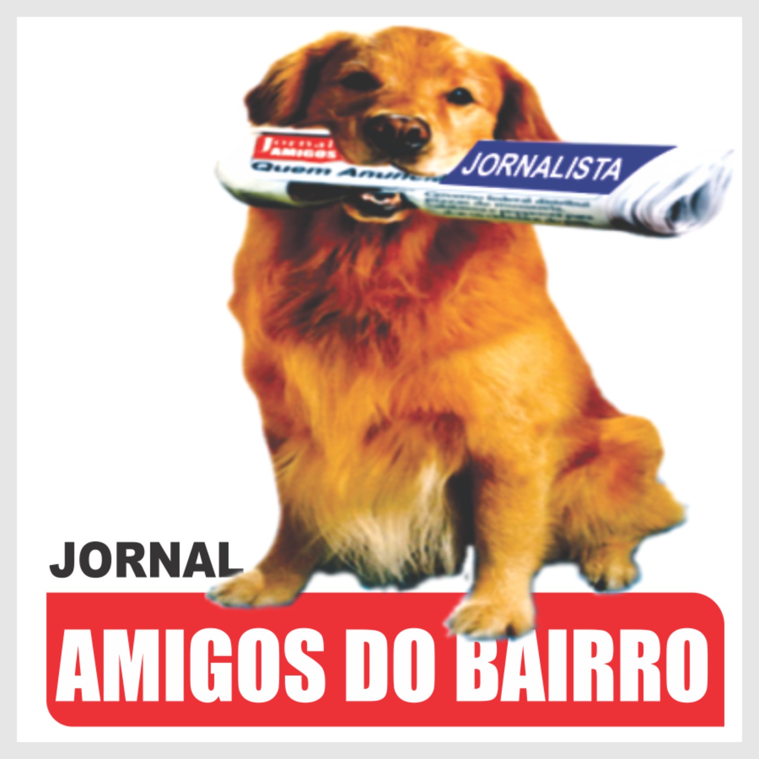 G1 Sul Comunicação