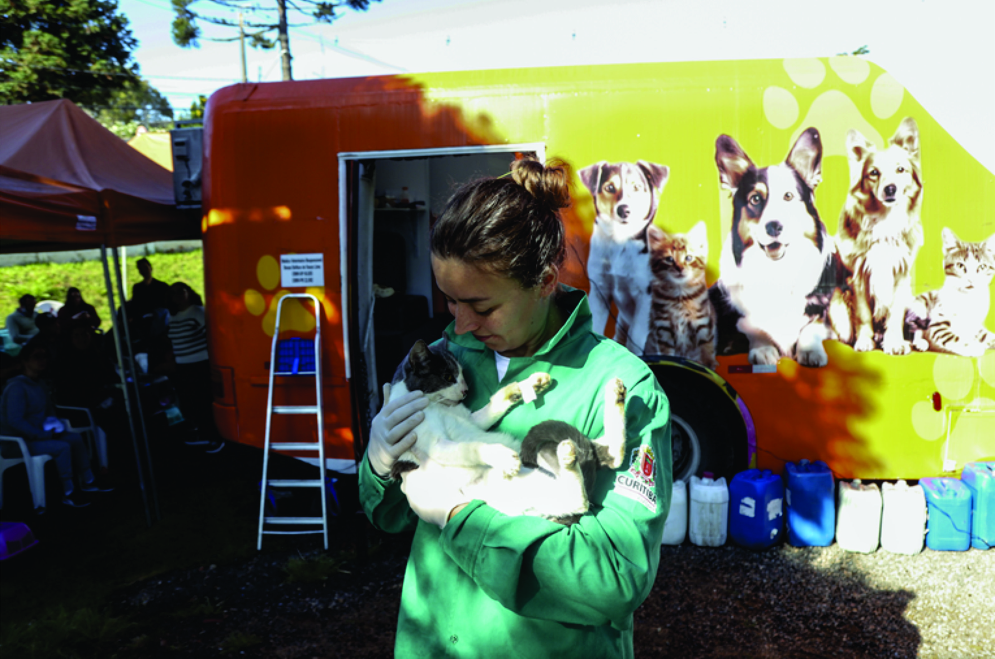 Mutirões oferecem 8.475 vagas para castração gratuita de cães e gatos; saiba como participar