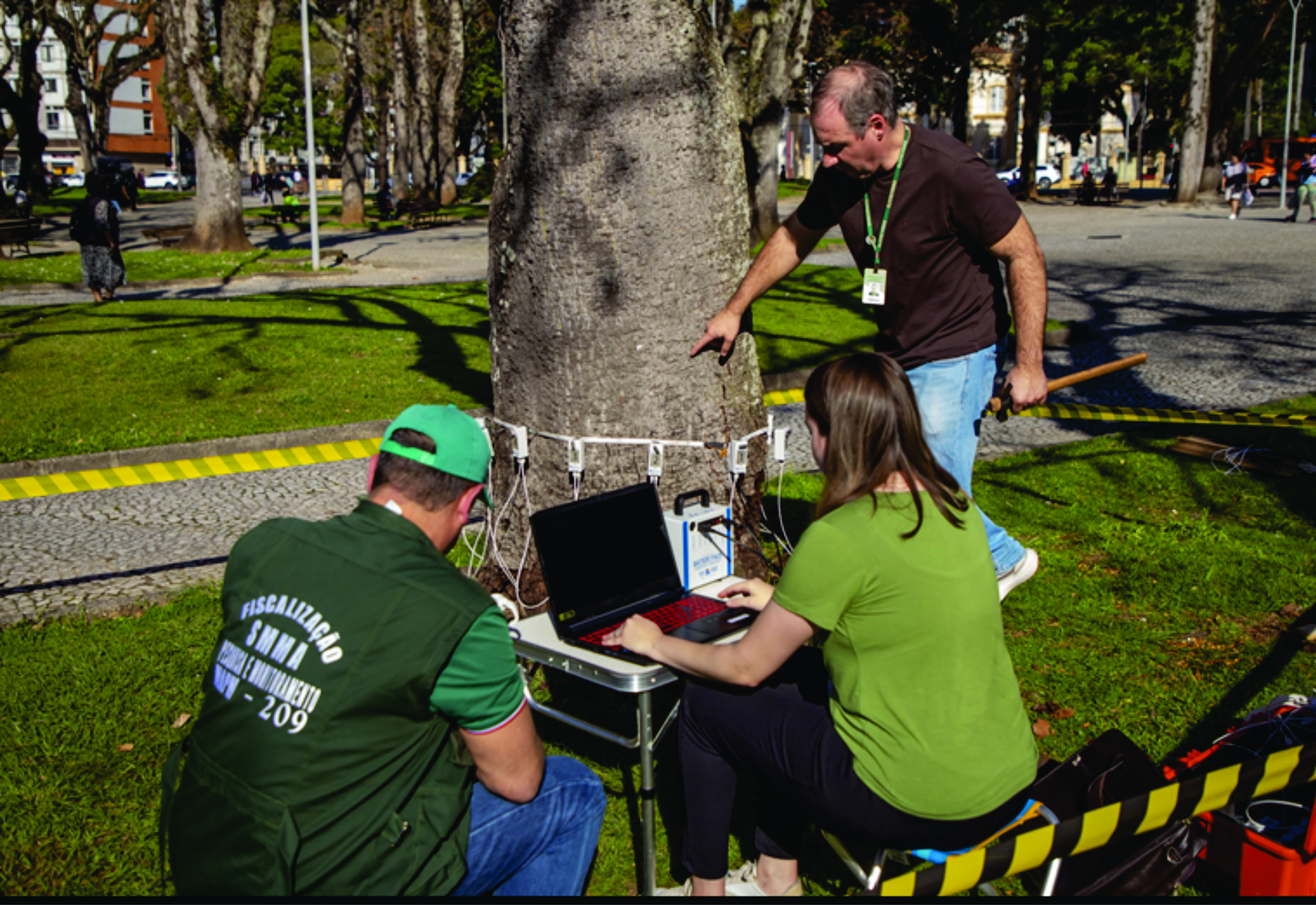 Prefeitura de Curitiba usa tomógrafo para fazer vistorias e manutenção em árvores da Praça Rui Barbosa