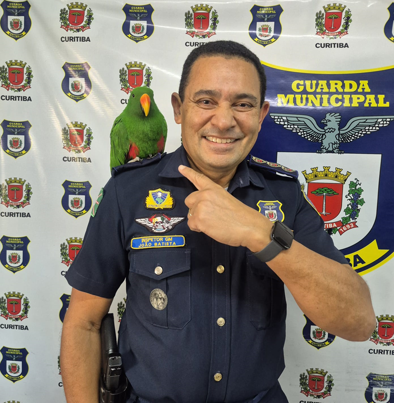 Guarda Municipal de Curitiba resgata papagaio no Sítio Cercado