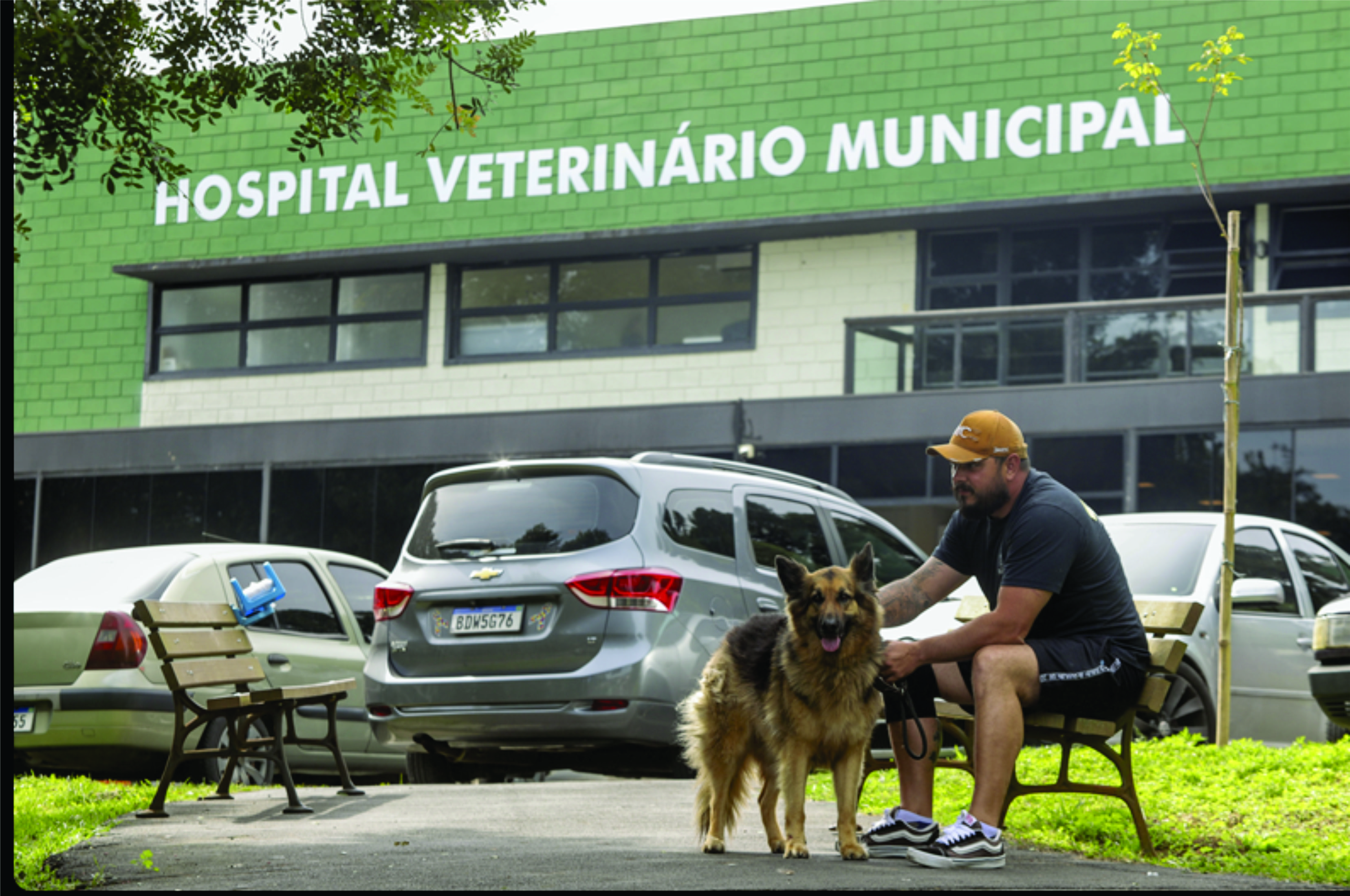 Em 1 ano e 8 meses de funcionamento, Hospital Veterinário Municipal faz 353 mil procedimentos