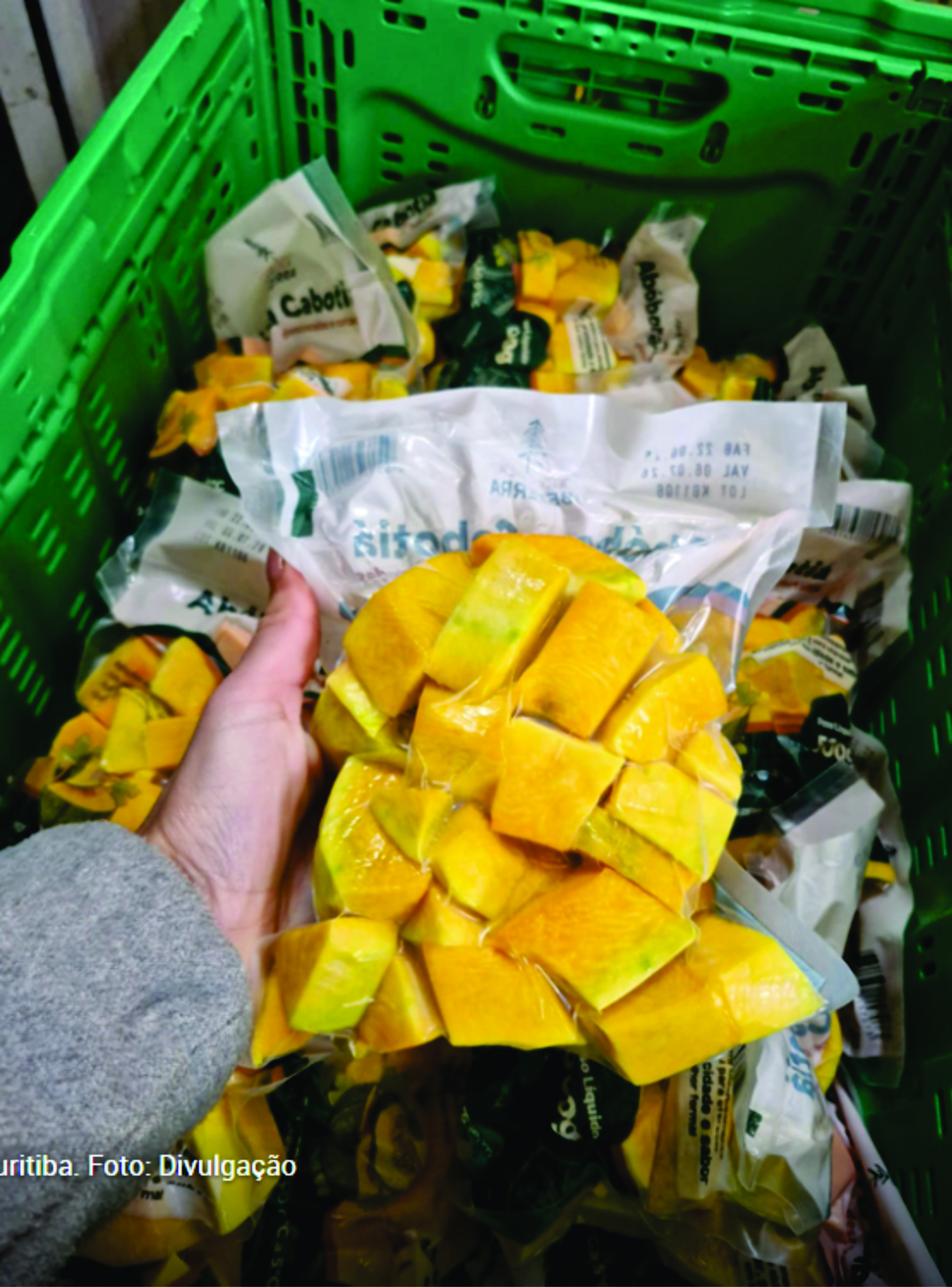Prefeitura cria o Agrolab, grupo que aproxima agricultura familiar dos consumidores de Curitiba