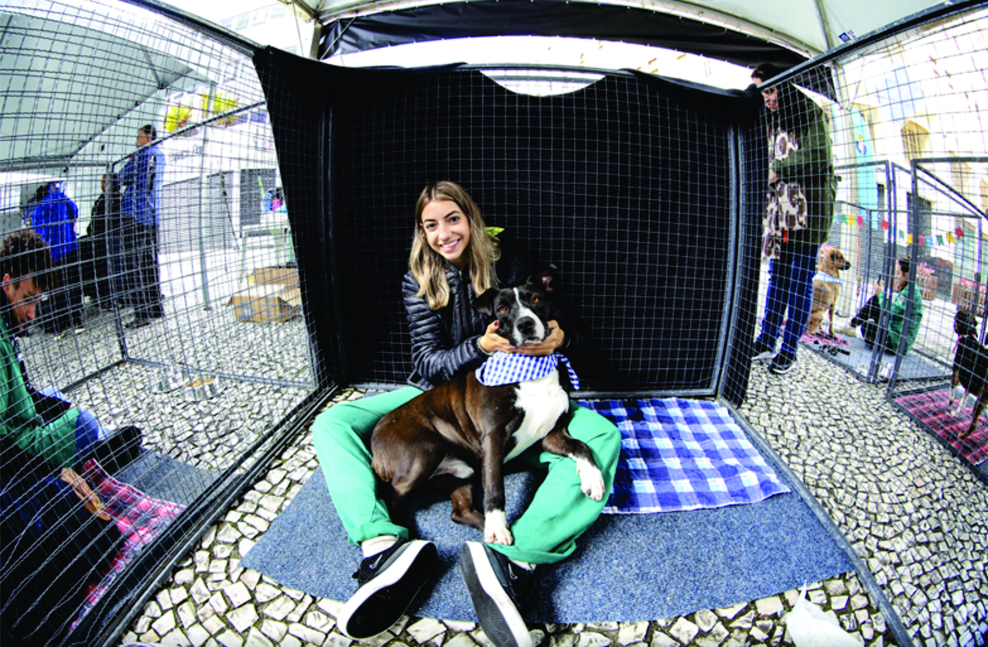 Domingo no Centro de agosto terá encontro de cães adotados e serviços gratuitos para pets