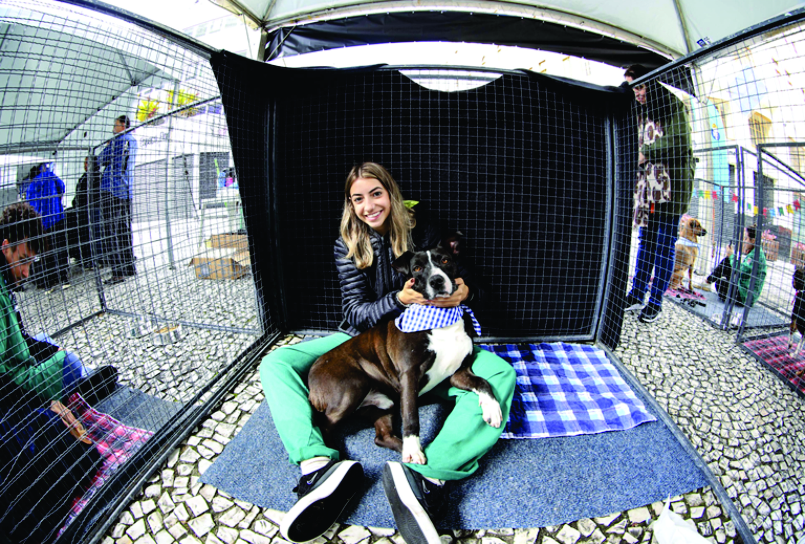 Domingo no Centro de agosto transforma a Rua XV em espaço de convivência para famílias e pets