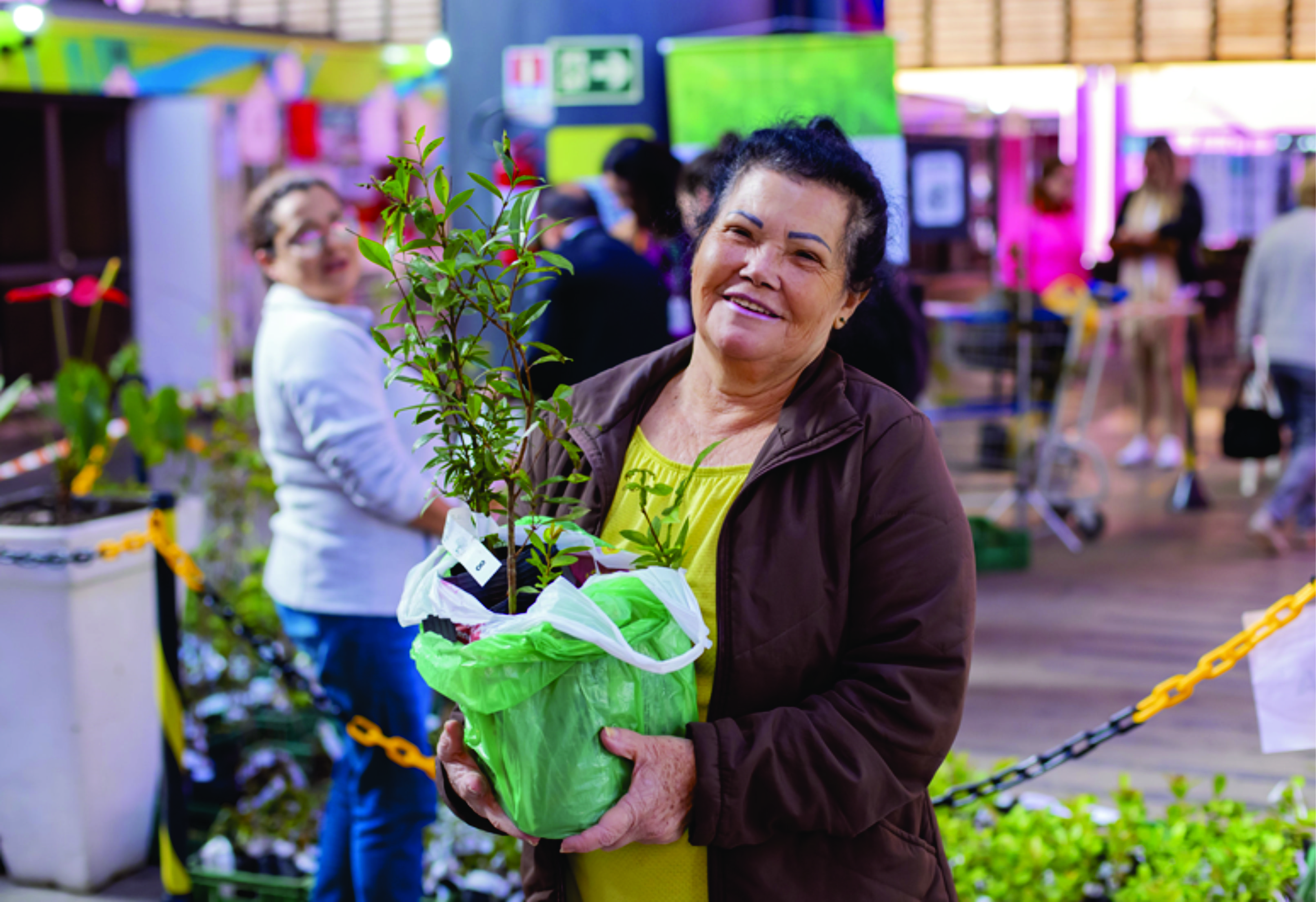 Primavera vai começar com entrega de 12 mil mudas de árvores para a população