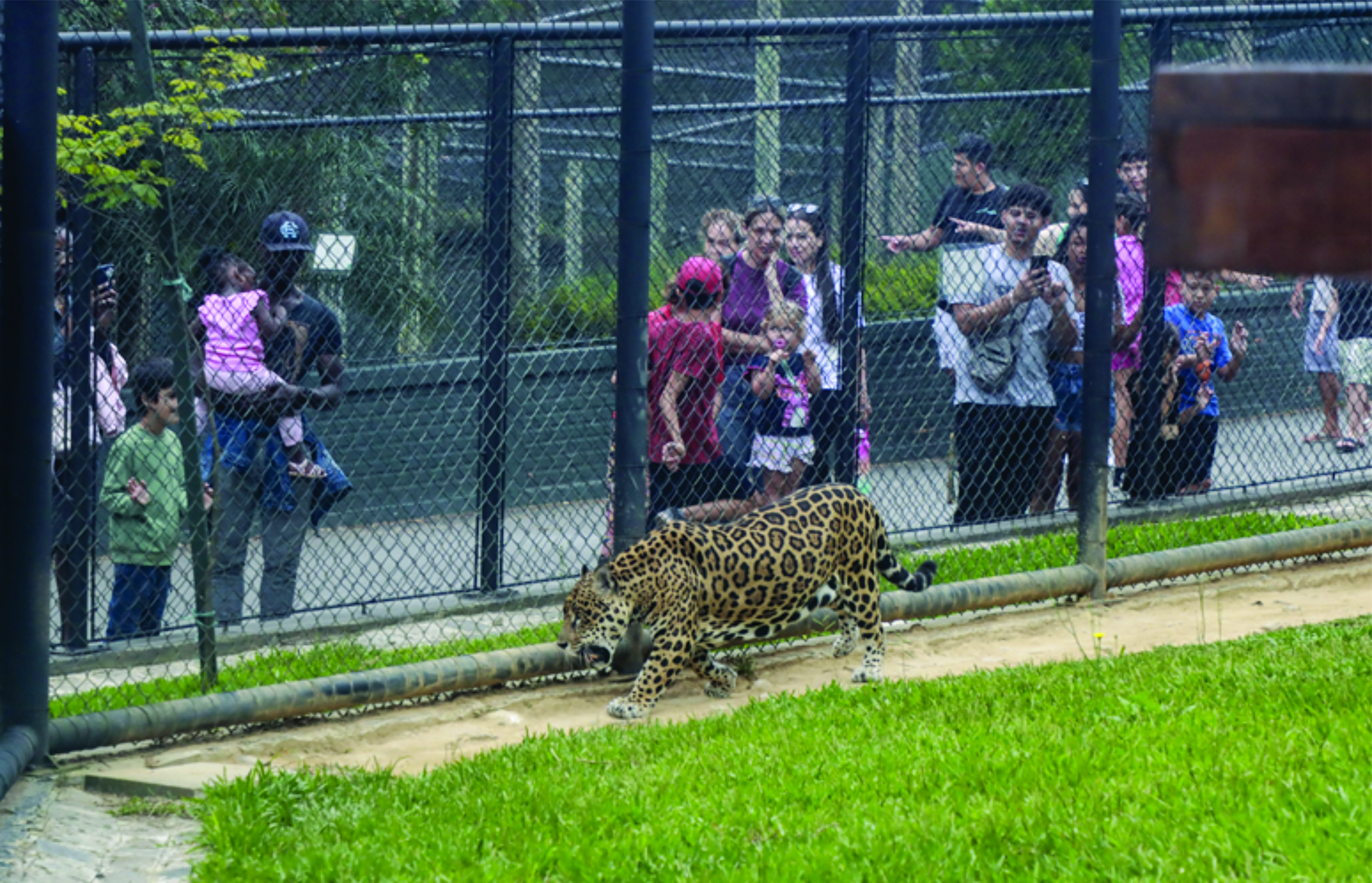 Zoológico de Curitiba será fechado para visitação até o dia 5 de setembro para obras internas de manutenção