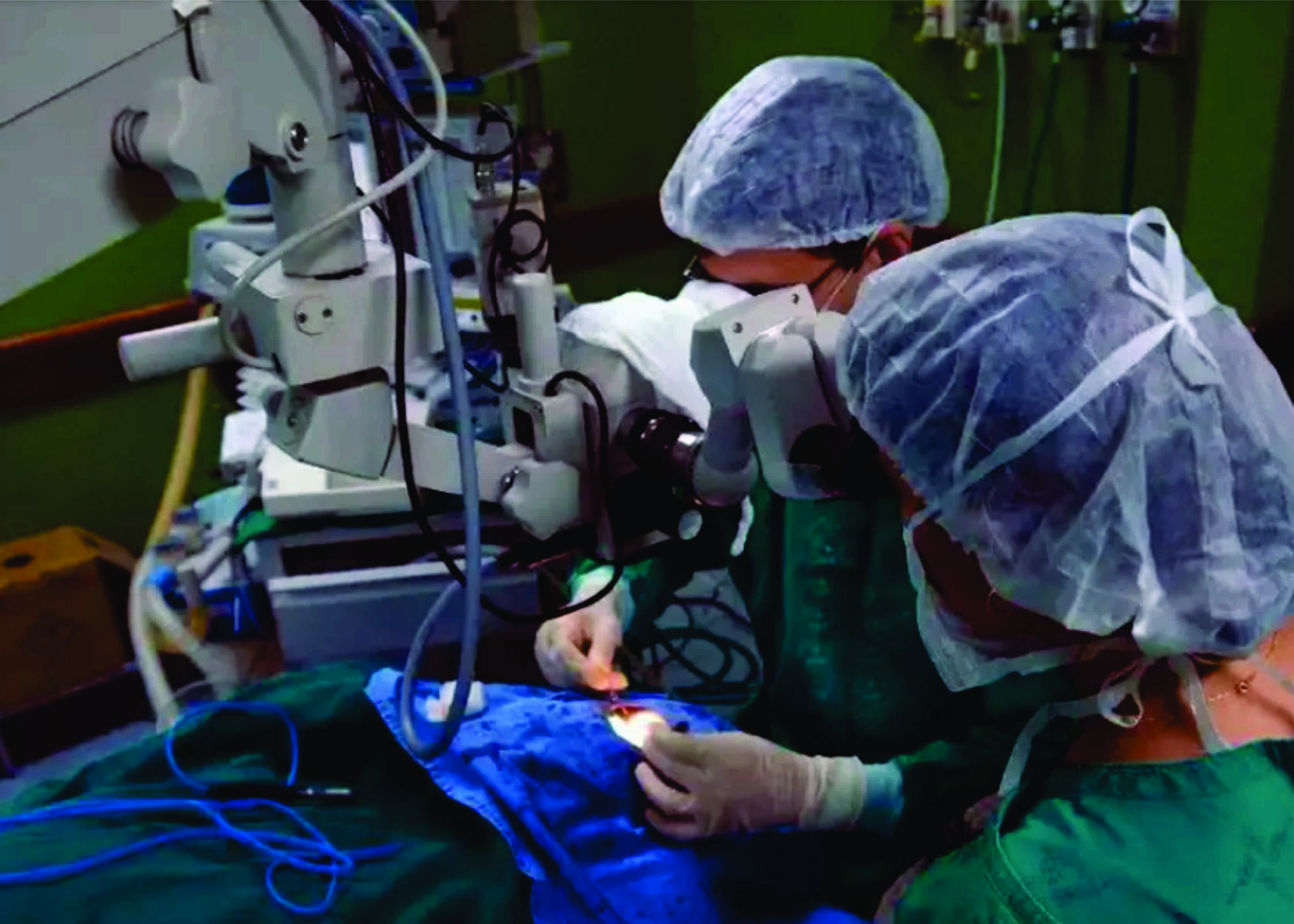 Fila por transplante de rim é a maior em relação a órgãos no Brasil