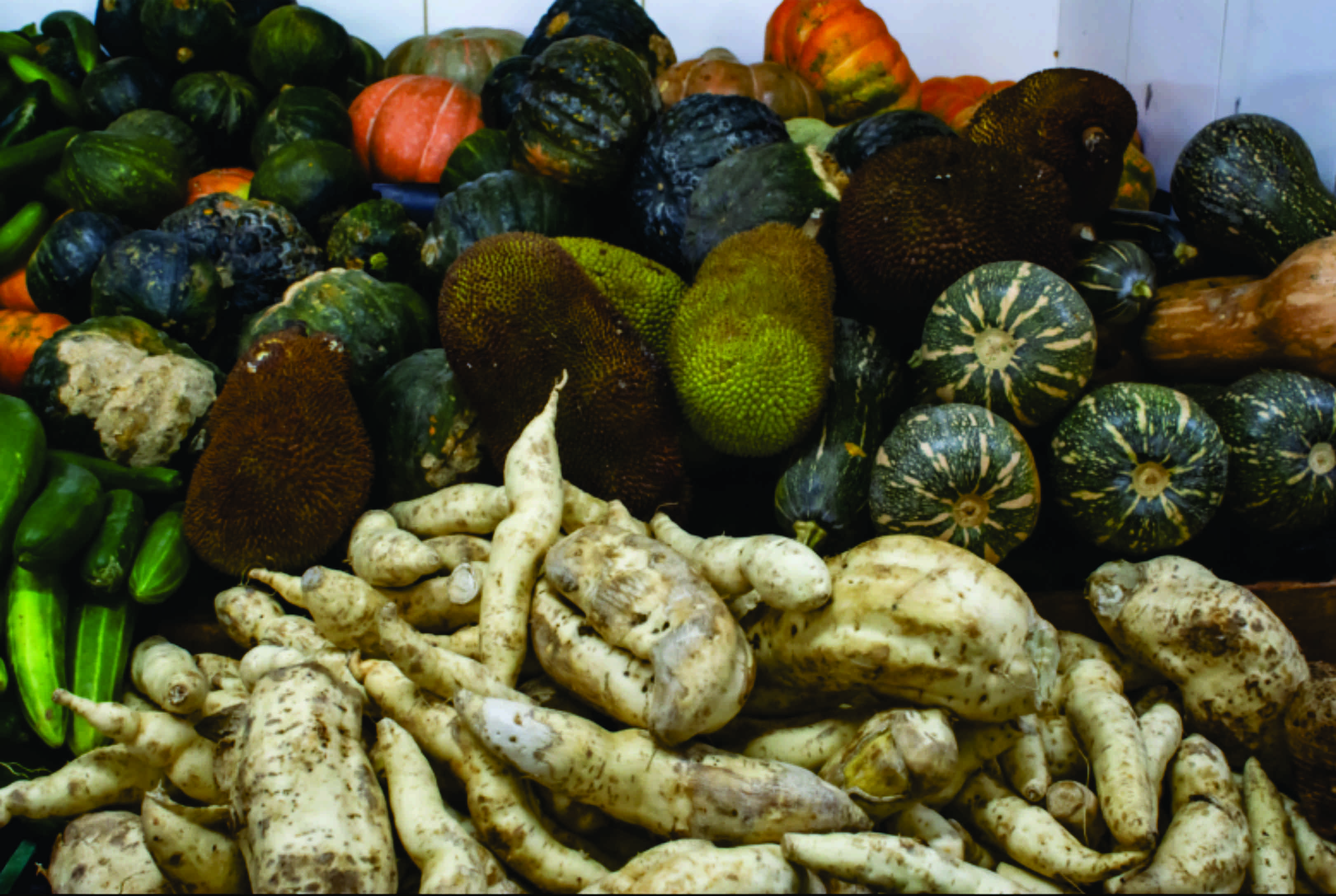 Frio em Curitiba? Sacolões da Família já oferecem frutas e verduras de outono-inverno