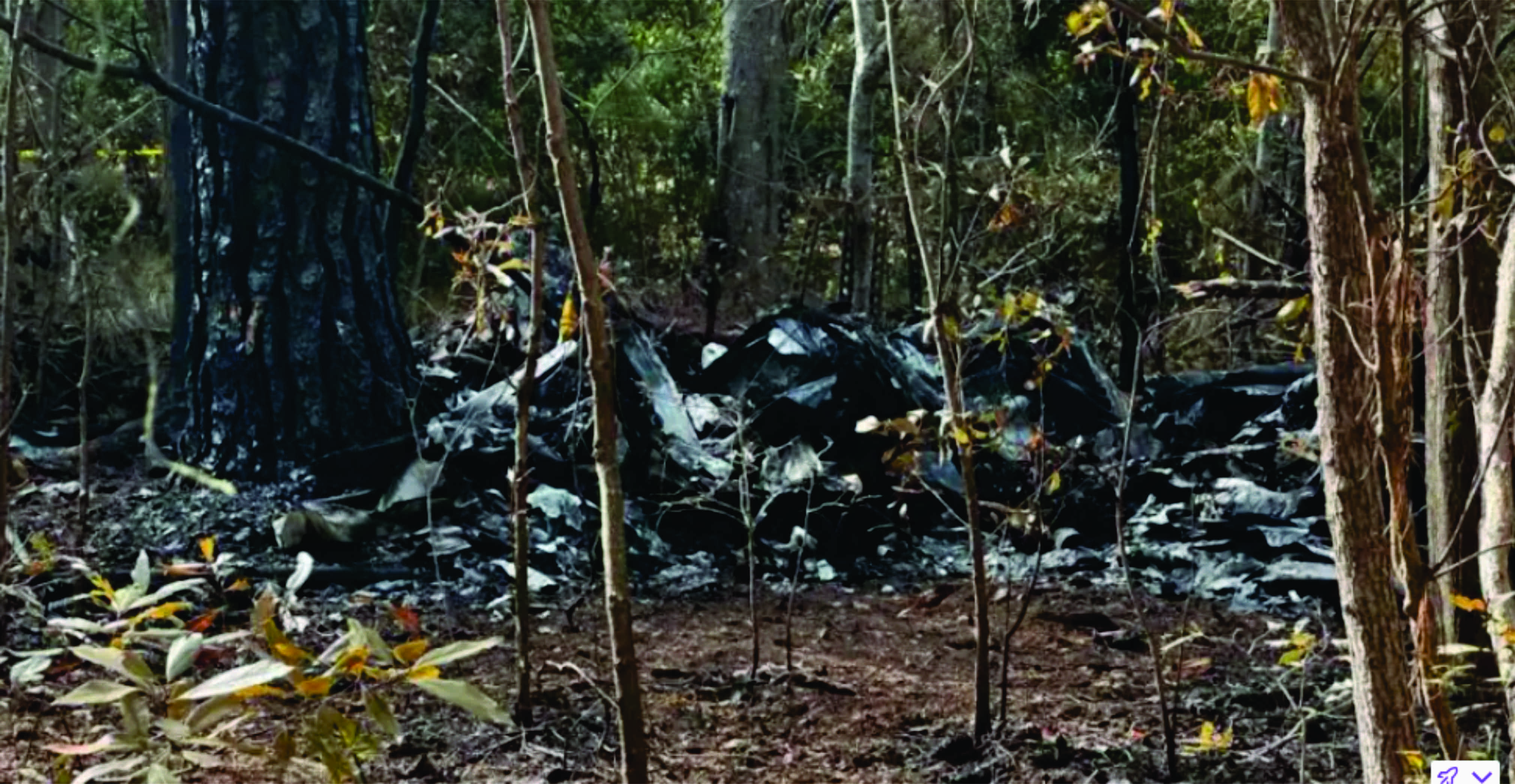 Cinco pessoas morreram após avião bater em uma árvore e cair nos EUA