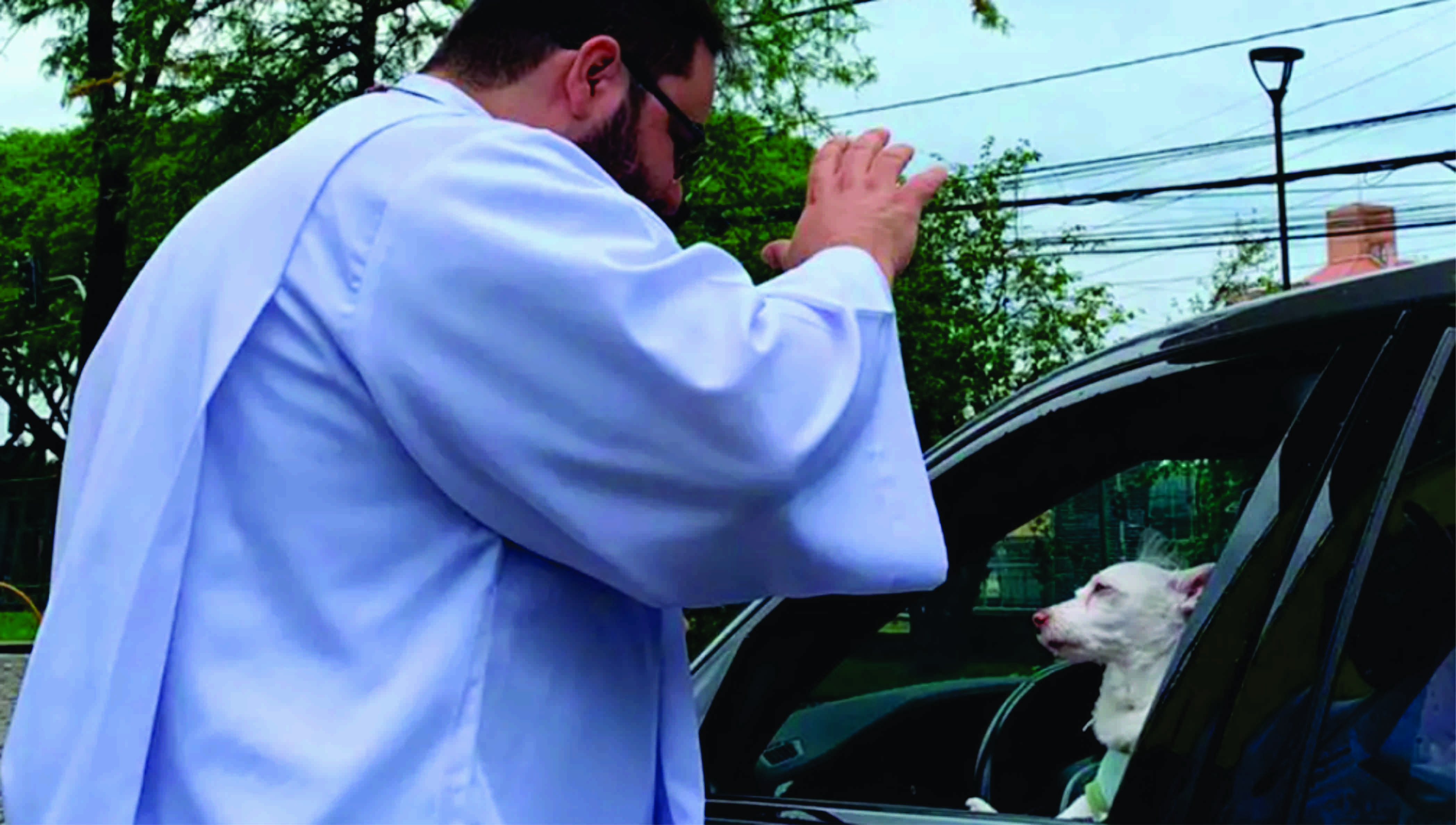 PUCPR celebra Dia de São Francisco de Assis com Bênção dos Animais nesta sexta-feira