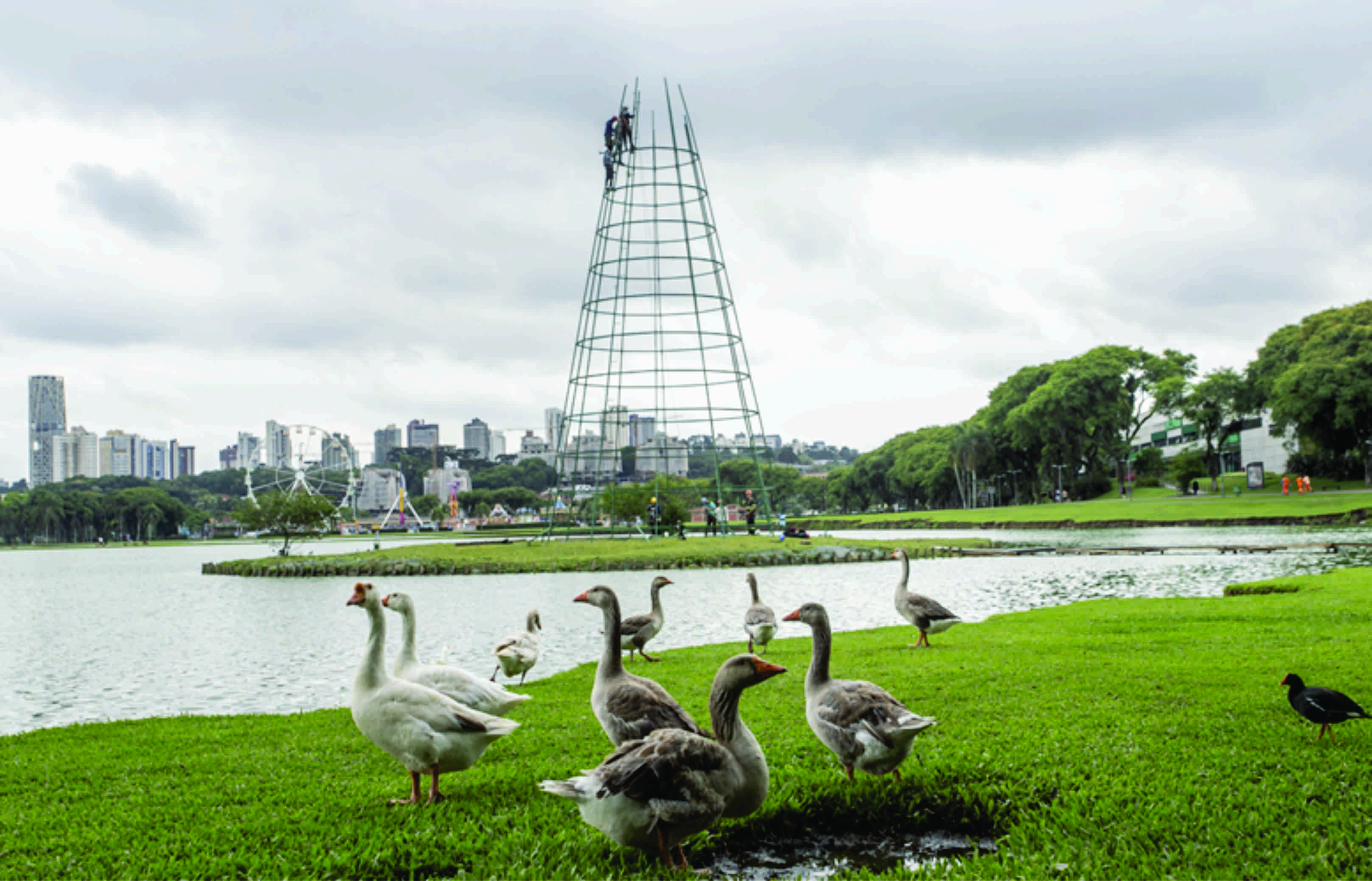 Árvore gigante do Natal de Curitiba começa a ser montada no lago do Parque Barigui